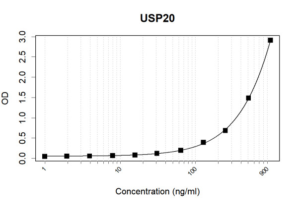 Anti-Human USP20 Antibody Pair