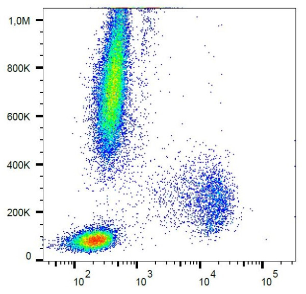 Anti-CD300e / IREM-2, clone UP-H2 (PE )