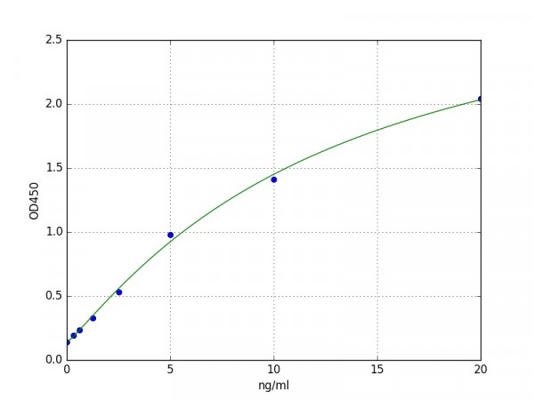 Human Synaptophysin ELISA Kit