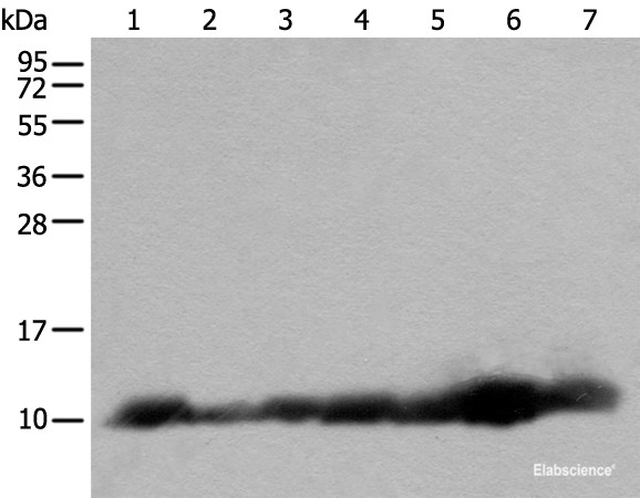 Anti-C14orf2