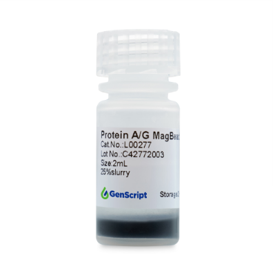 Protein A/G MagBeads
