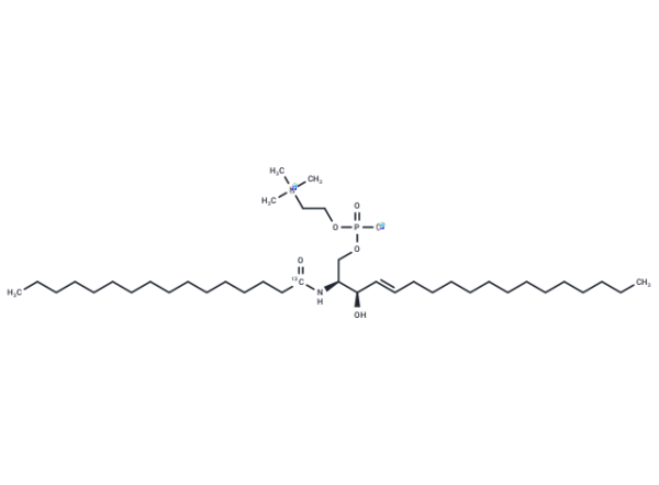 13C C16 Sphingomyelin (d18:1/16:0)