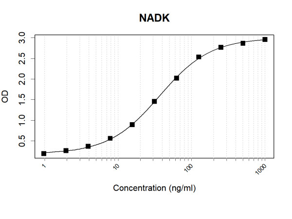 Anti-Human NADK Antibody Pair