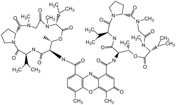 Actinomycin D