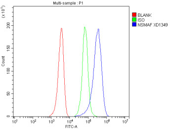 Anti-NSMAF / Neutral sphingomyelinase activation associated factor