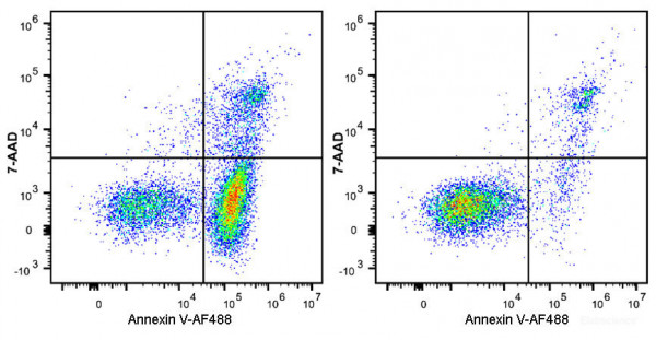 Annexin V-AF488 / 7-AAD Apoptosis Detection Kit