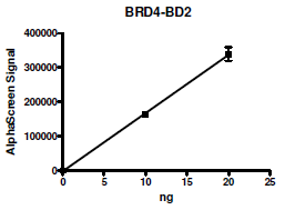 BRD4 (342-460), human recombinant protein