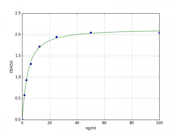 Anti-Mouse Anti-Thyroid-Peroxidase / TPO-Ab ELISA Kit