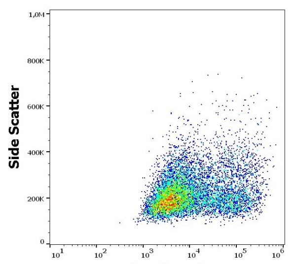Anti-CD264, clone TRAIL-R4-01 (FITC)