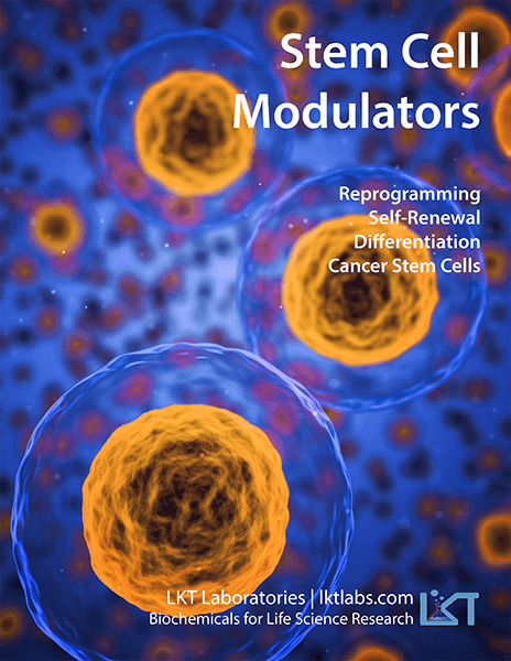 Stem Cell Modulators