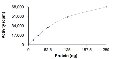 LRRK2 (R1441G), GST-Tag