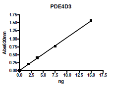 PDE4D3, active human recombinant protein