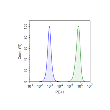 PSMA (FOLH1) Luciferase CHO Cell Line
