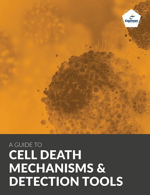 Cayman Chemical: Cell Death Mechanisms and Detection Tools