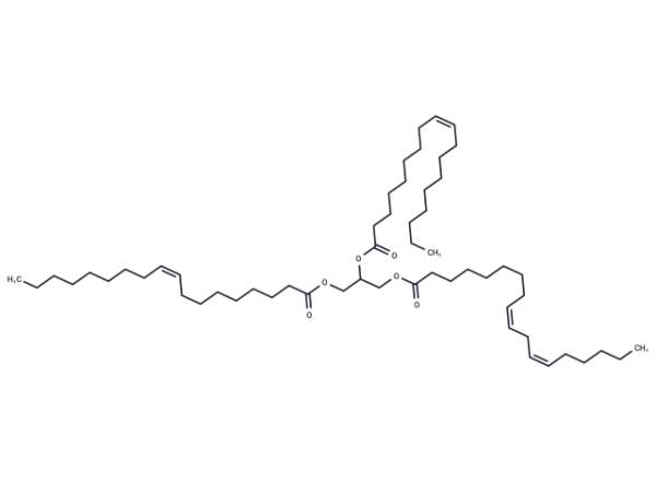 1,2-Dioleoyl-3-linoleoyl-rac-glycerol
