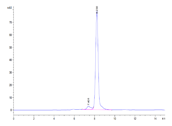 Mouse CA9/Carbonic Anhydrase IX Protein
