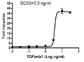 TGFbeta/Activin A/Myostatin-Responsive Luciferase Reporter HEK293 Cell Line