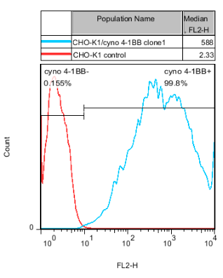 CHO-K1/cyno 4-1BB Stable Cell Line