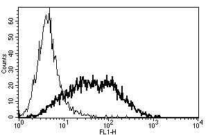 Anti-CD25 (azide free), clone B-B10