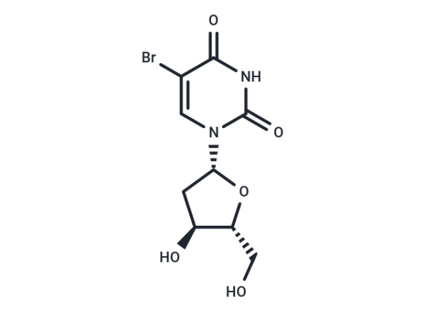 5-BrdU