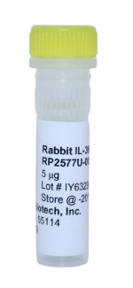 Recombinant Protein, il-36ra rabbit (rilIL-36RA)