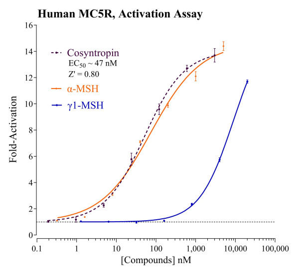 MC5R Reporter Assay System (human)