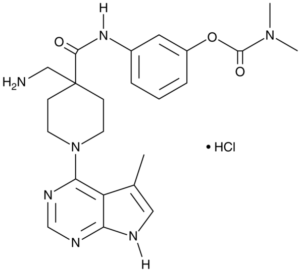 LX7101 (hydrochloride)