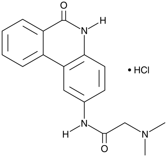 PJ-34 (hydrochloride)