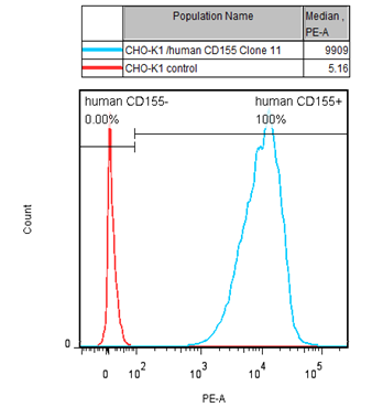 CHO-K1/CD155 Stable Cell Line