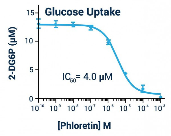 Glucose Uptake Assay Kit (Fluorometric)
