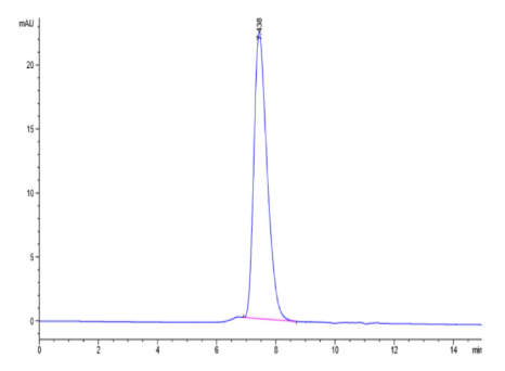 KIR2DL1, His &amp; Avi, Human