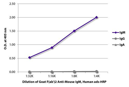 Anti-Mouse IgM antibody, F(ab')2 fragment (HRP), pre-adsorbed [Goat]