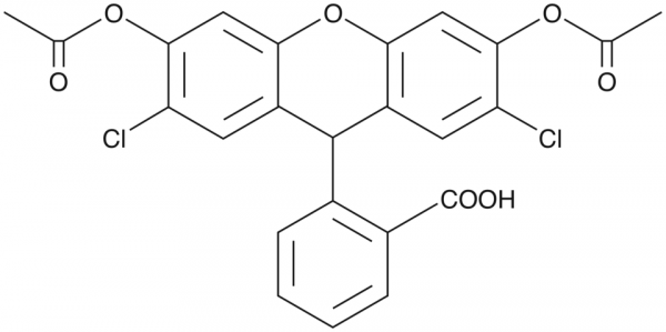 2,7-Dichlorodihydrofluorescein diacetate