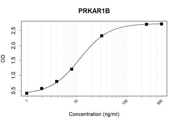 Anti-Human PRKAR1B Antibody Pair