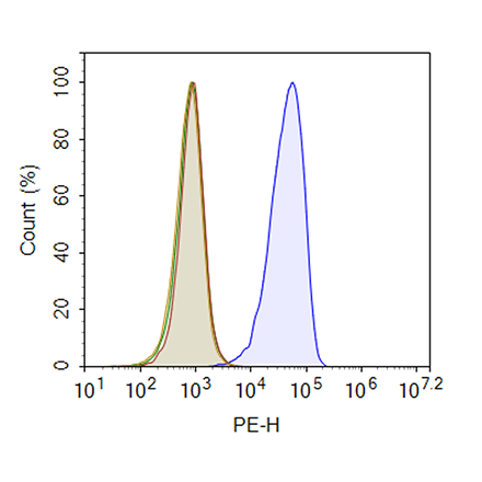 Firefly Luciferase CD22 Knockout Raji Cell Line