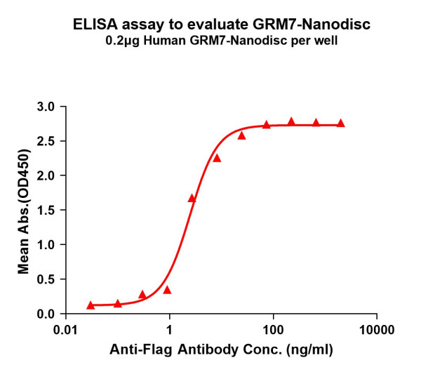 GRM7 (human) full length protein-synthetic nanodisc