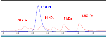 PDPN, Fc-Fusion, Avi-Tag, Biotin-Labeled HiP(TM)