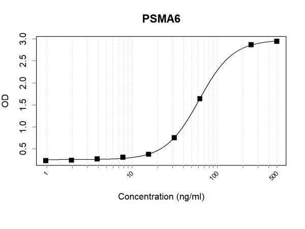 Anti-Human PSMA6 Antibody Pair
