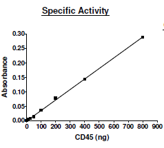 CD45, active human recombinant protein