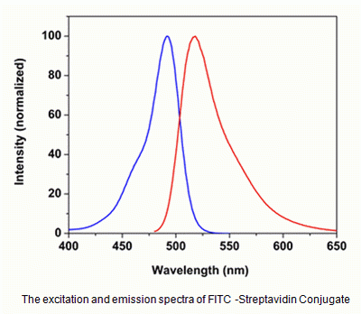 FITC-streptavidin conjugate