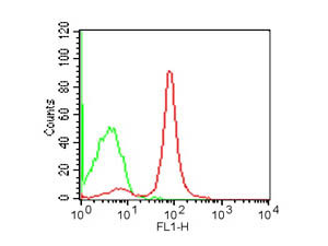 Anti-CD19, clone 1D3, Fluorescein Conjugated