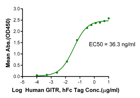 GITR Ligand/TNFSF18 Trimer, His &amp; Flag, Human