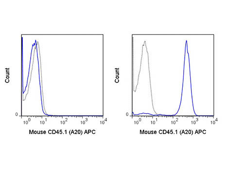 Anti-CD45.1 Allophycocyanin Conjugated, clone A20