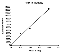 PRMT6 Chemiluminescent Direct Activity Assay Kit