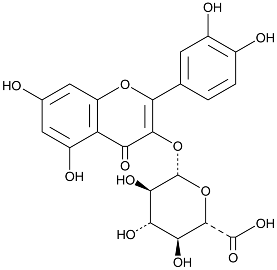 Quercetin 3-O-glucuronide