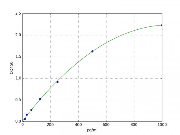 Human MCP4 protein / CCL13 ELISA Kit