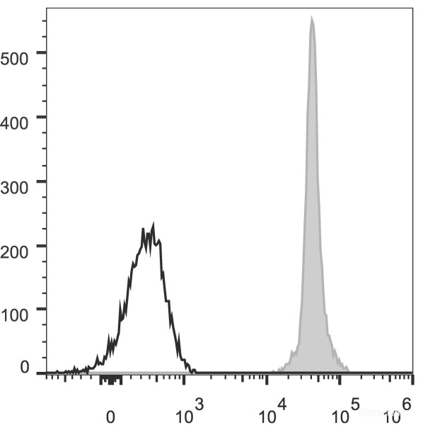 Anti-Mouse CD45.2 (AF488 Conjugated)[104.2], clone 104.2