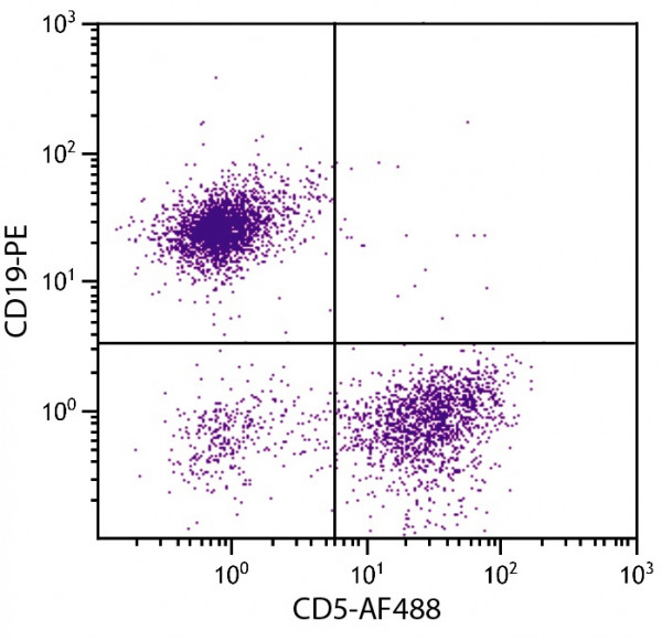 Anti-CD19 (PE), clone 6D5