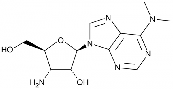 Puromycin Aminonucleoside