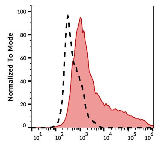 Anti-CD266 / TWEAK R, clone ITEM-4 (PE )